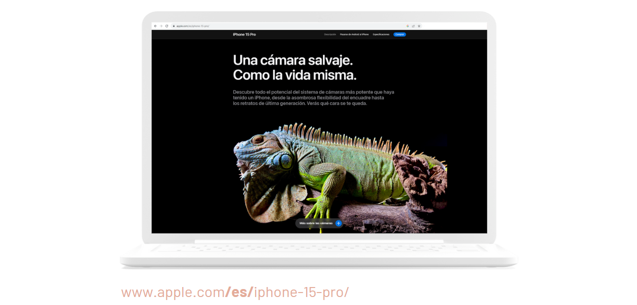 international website domain strategy: apple exmple